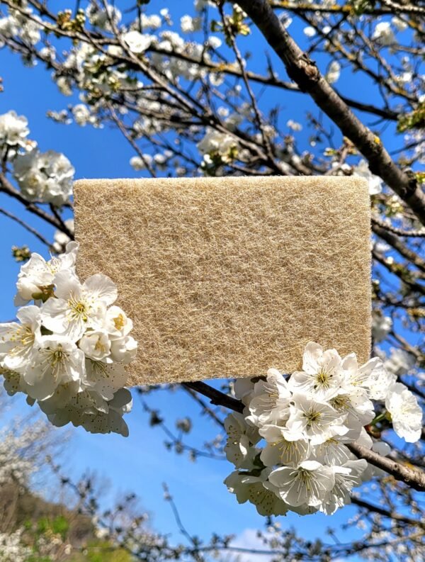 Éponge sisal premium – nettoyage Écologique